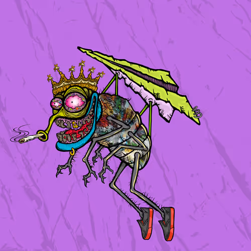 Official Funky Flies