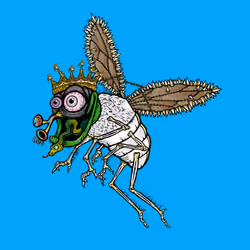 Funky Fly #270