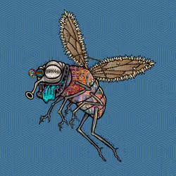 Funky Fly #2624