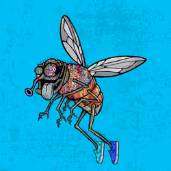 Funky Fly #3499