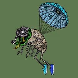 Funky Fly #4184