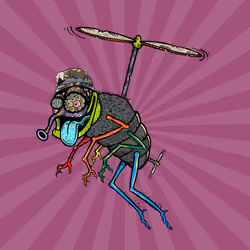 Funky Fly #2939