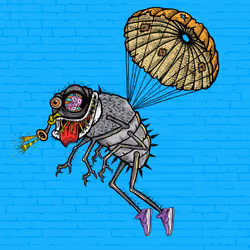 Funky Fly #6474