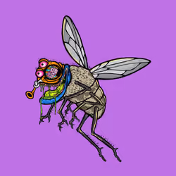 Funky Fly #4358