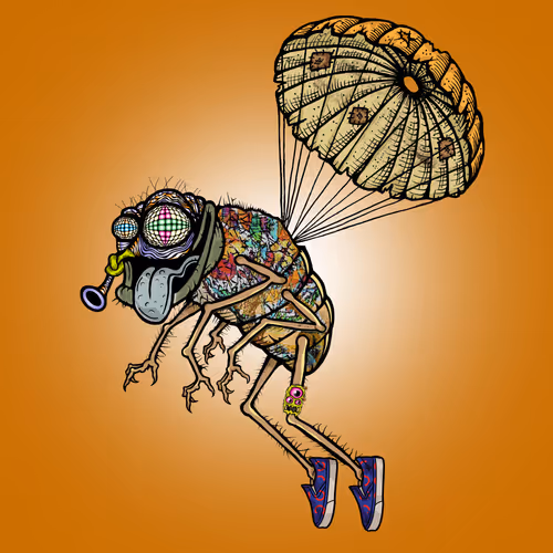 Official Funky Flies