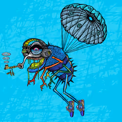 Funky Fly #7772