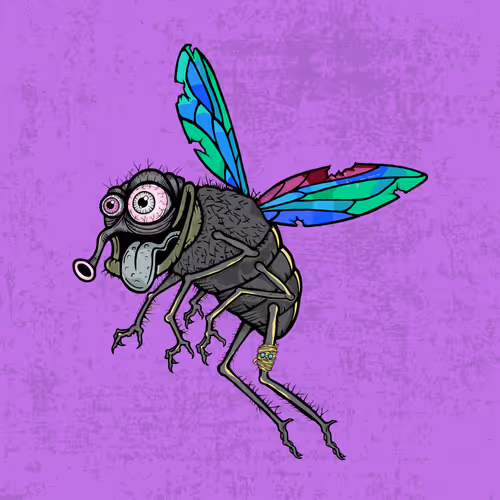 Official Funky Flies