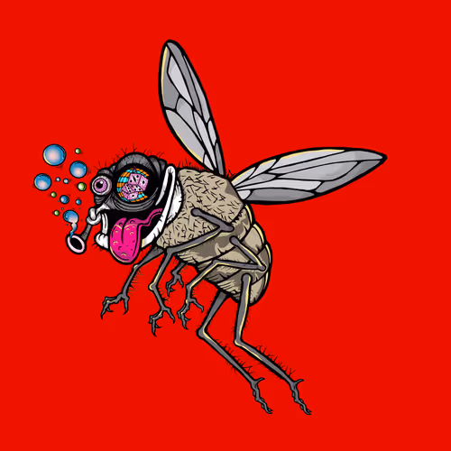 Funky Fly #5959