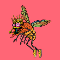 Funky Fly #5080