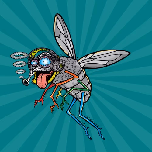 Official Funky Flies