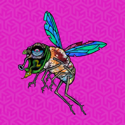 Funky Fly #195