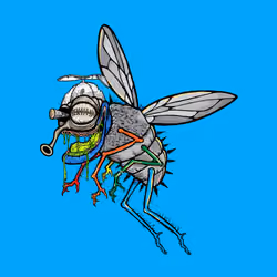 Funky Fly #5424