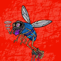 Funky Fly #5802