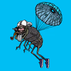 Funky Fly #2021