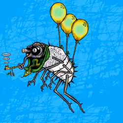Funky Fly #3195
