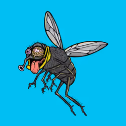 Funky Fly #600
