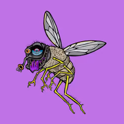 Funky Fly #1256