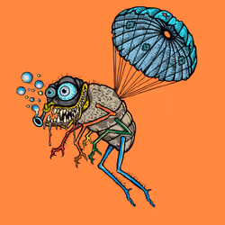 Funky Fly #5605