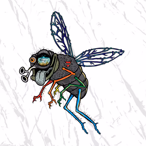 Funky Fly #1865