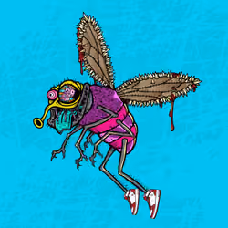 Funky Fly #2107