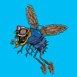 Funky Fly #2315