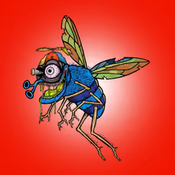 Funky Fly #5038