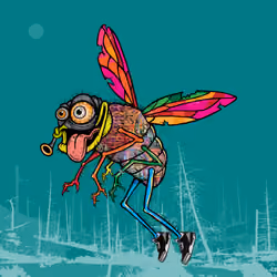 Funky Fly #4342