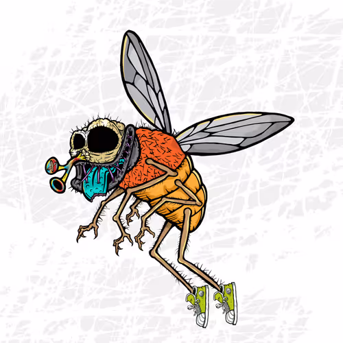 Official Funky Flies