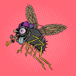 Funky Fly #1532