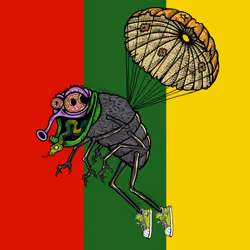 Funky Fly #2291