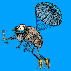 Funky Fly #7175