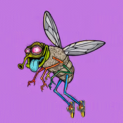 Funky Fly #4383