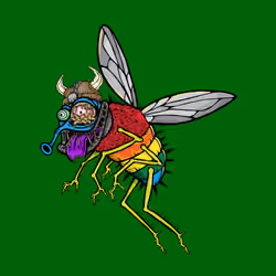 Funky Fly #174