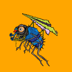 Funky Fly #6591
