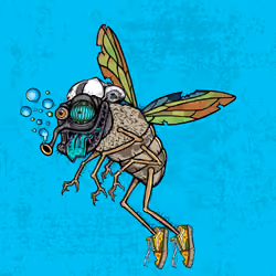 Funky Fly #4579