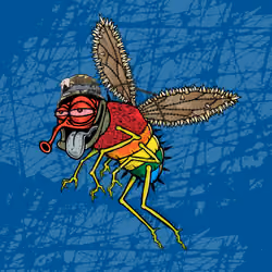 Funky Fly #7661