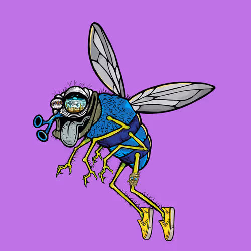 Official Funky Flies