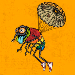 Funky Fly #2513