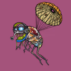 Funky Fly #3106
