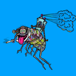 Funky Fly #1352