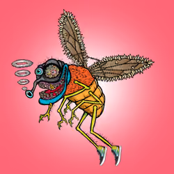 Funky Fly #1784