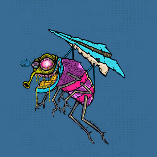 Official Funky Flies