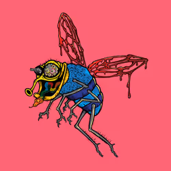 Funky Fly #661