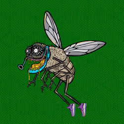 Funky Fly #2065