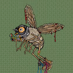 Funky Fly #6734