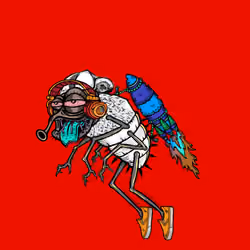 Funky Fly #2467