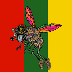 Funky Fly #5793