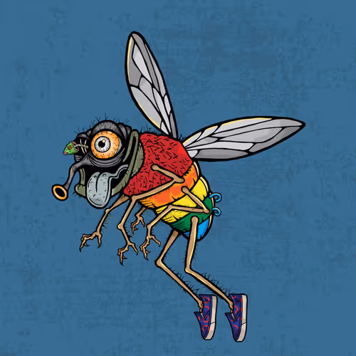 Official Funky Flies