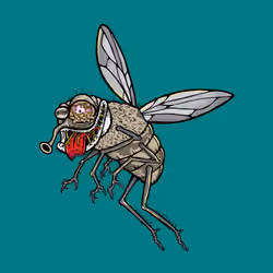 Funky Fly #830