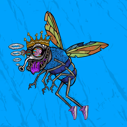 Official Funky Flies